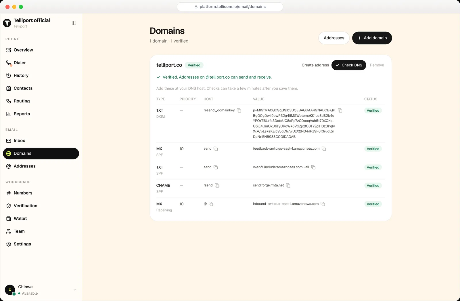 A verified domain with its DKIM, SPF and receiving DNS records